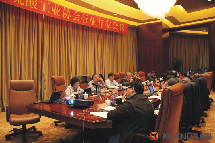 Royal皇家88集团承办中国硫酸工业协会行业专家会议
